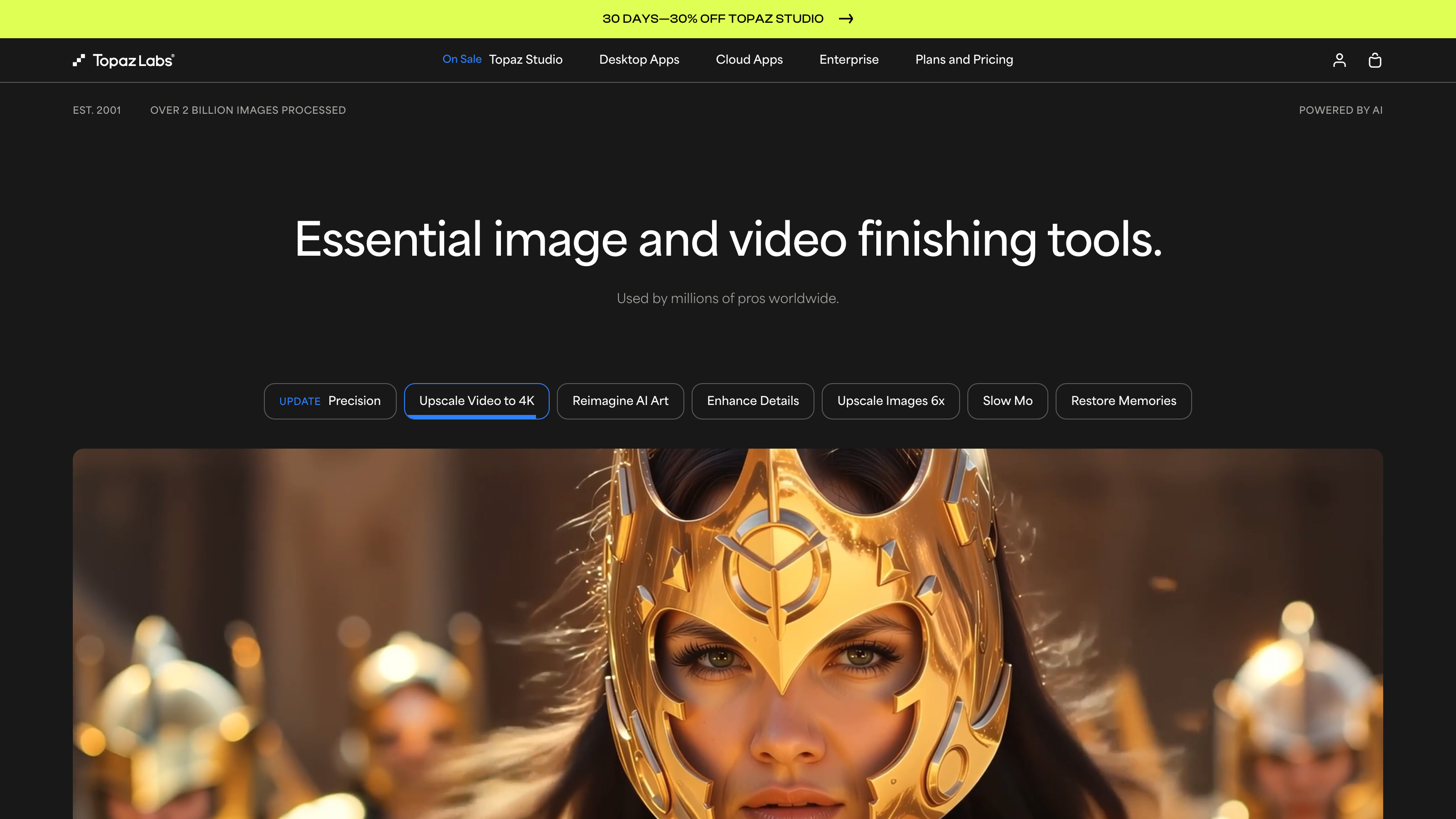 Topaz Labs interface