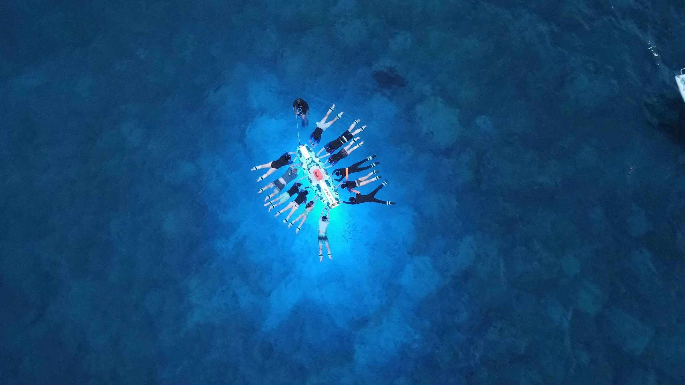 Manta Ray Night Snorkel in Kona: The Complete Guide (2026)