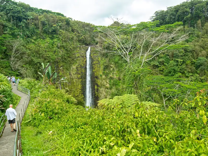 ʻAkaka Falls seen from the paved loop trail through tropical rainforest