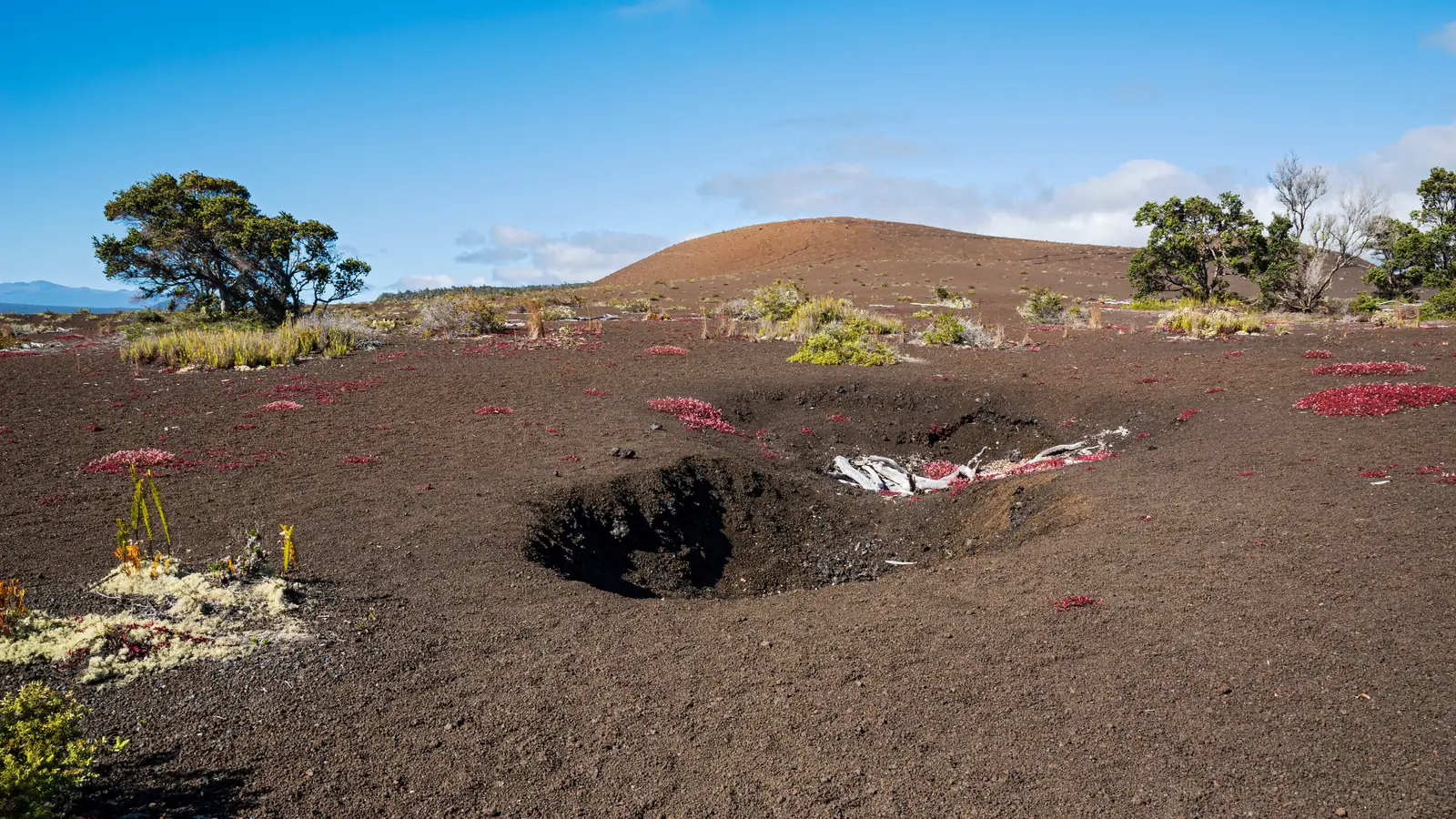 The cinder field left by the 1959 Kīlauea Iki eruption, with the Puʻupuaʻi cinder cone on the skyline