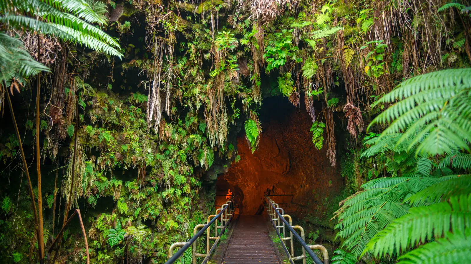 The entrance to Nāhuku, the Thurston Lava Tube, surrounded by tree ferns with a walkway leading into the tunnel