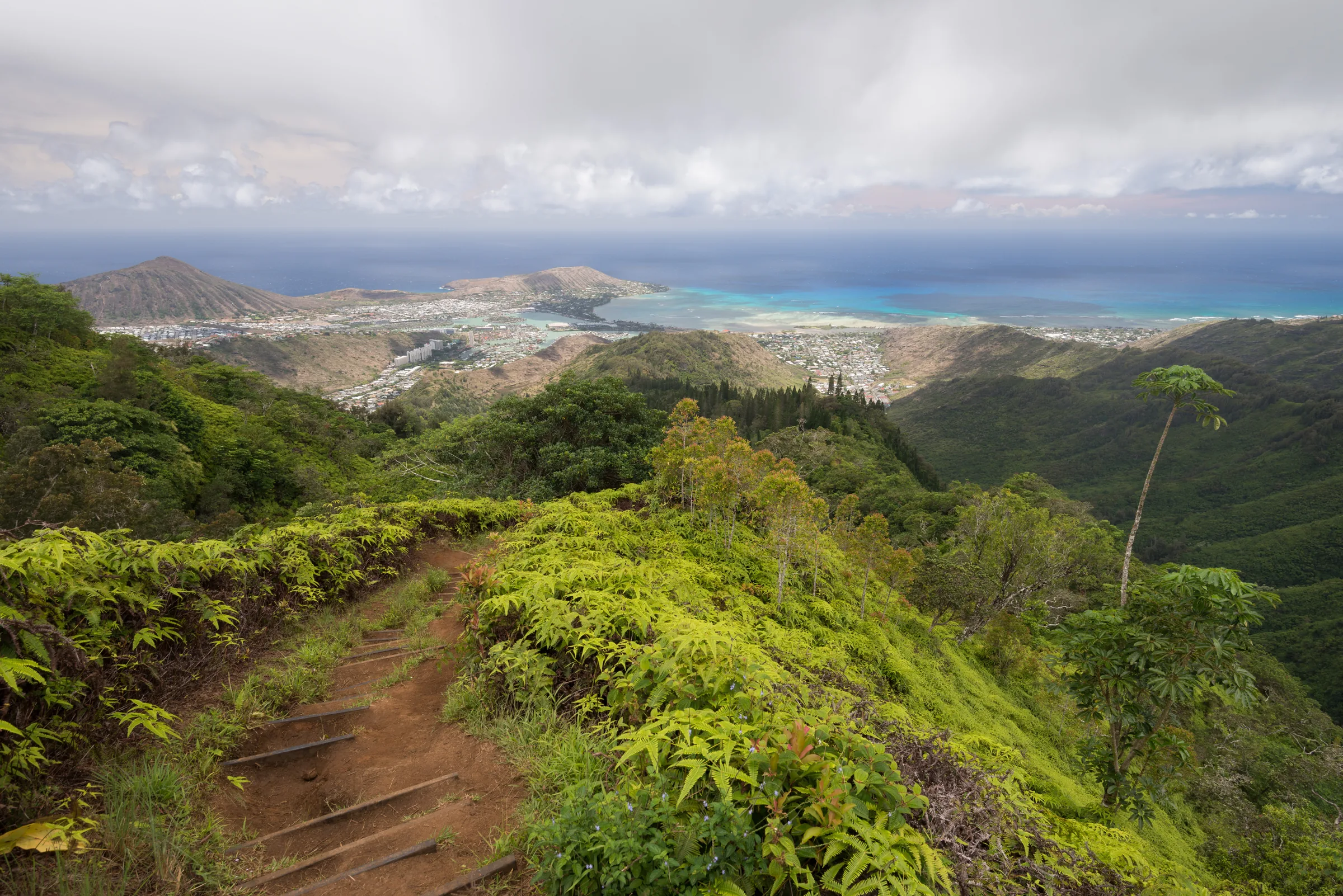 Kuliouou Ridge Trail