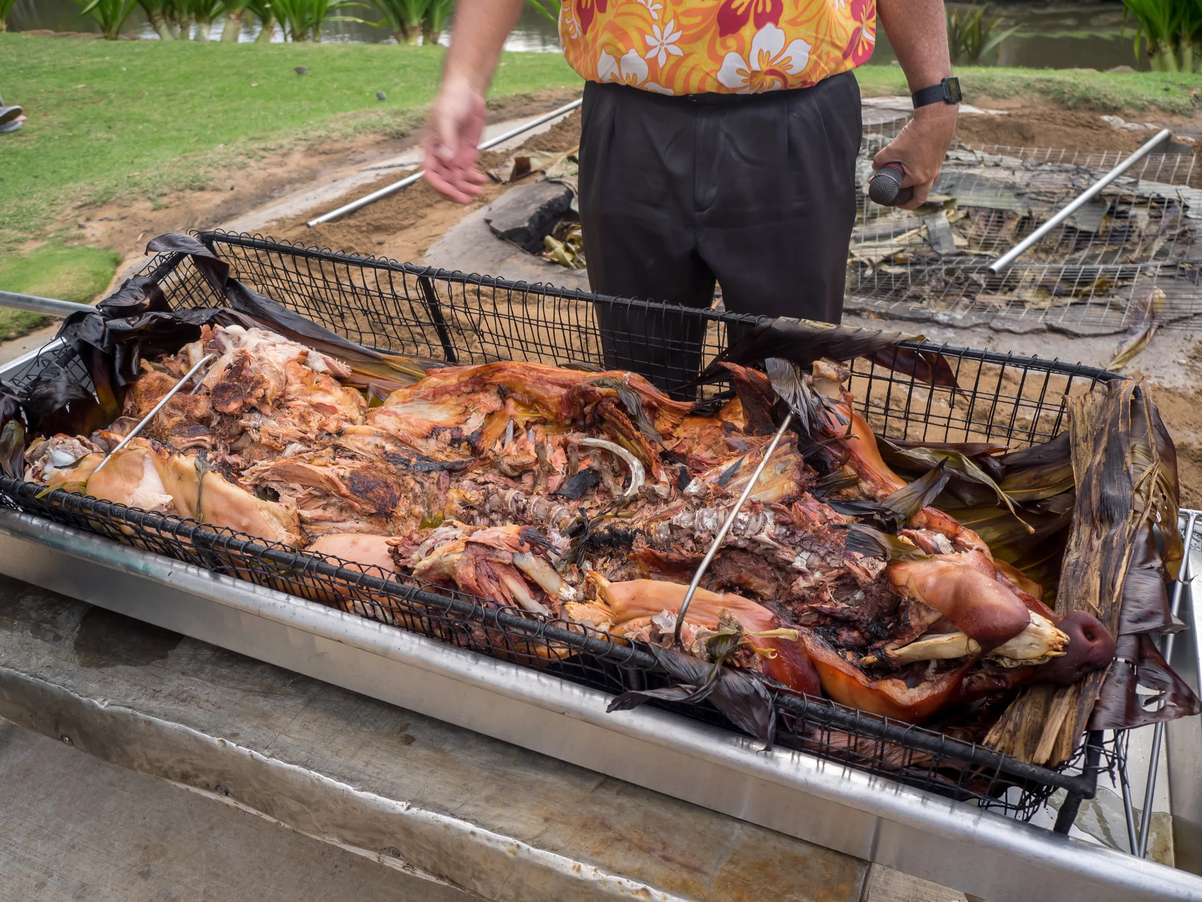 Kalua pig in a wire basket on banana leaves, freshly lifted from the imu