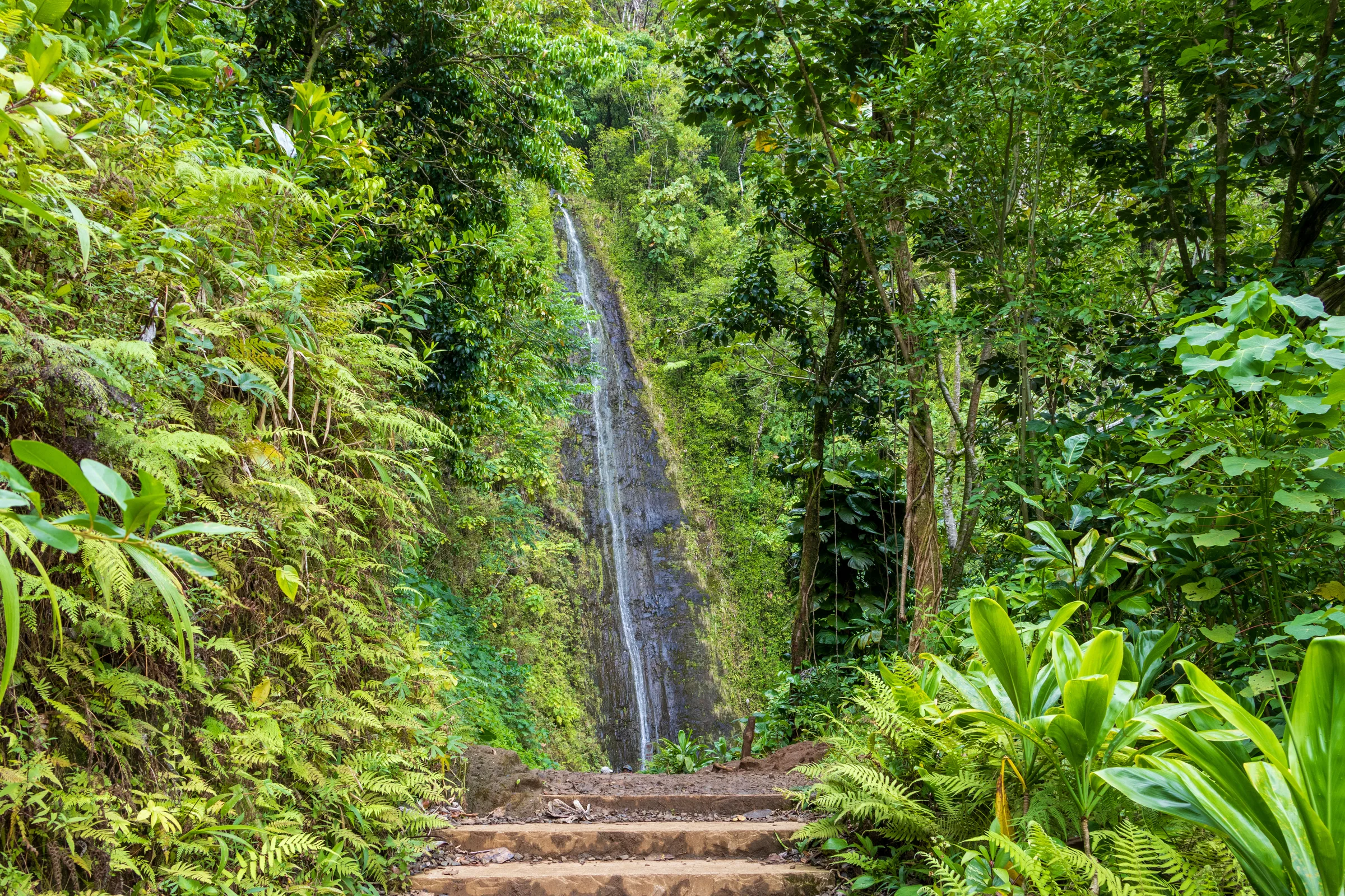 Waterfall dropping into a lush gorge at the end of stone trail steps