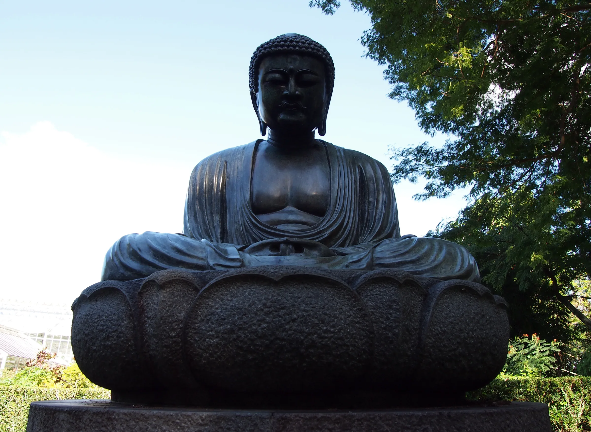 Foster Botanical Garden