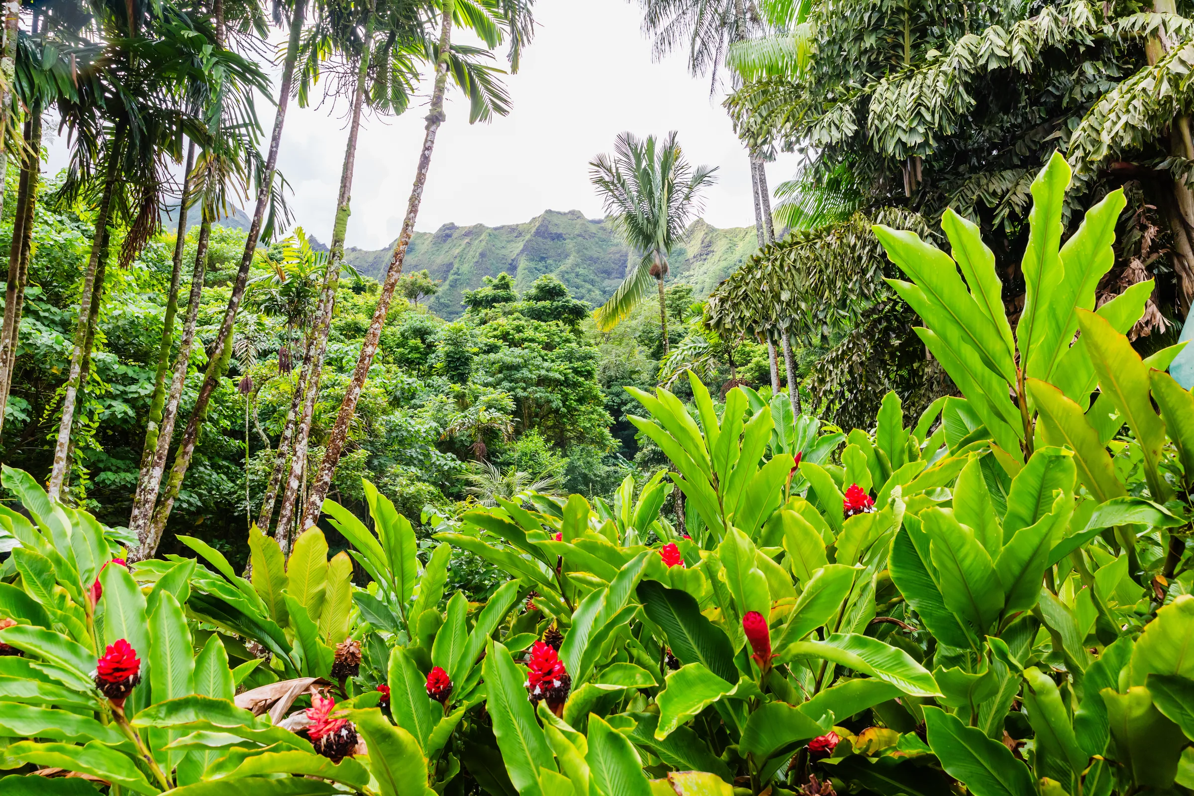 Hoomaluhia Botanical Garden