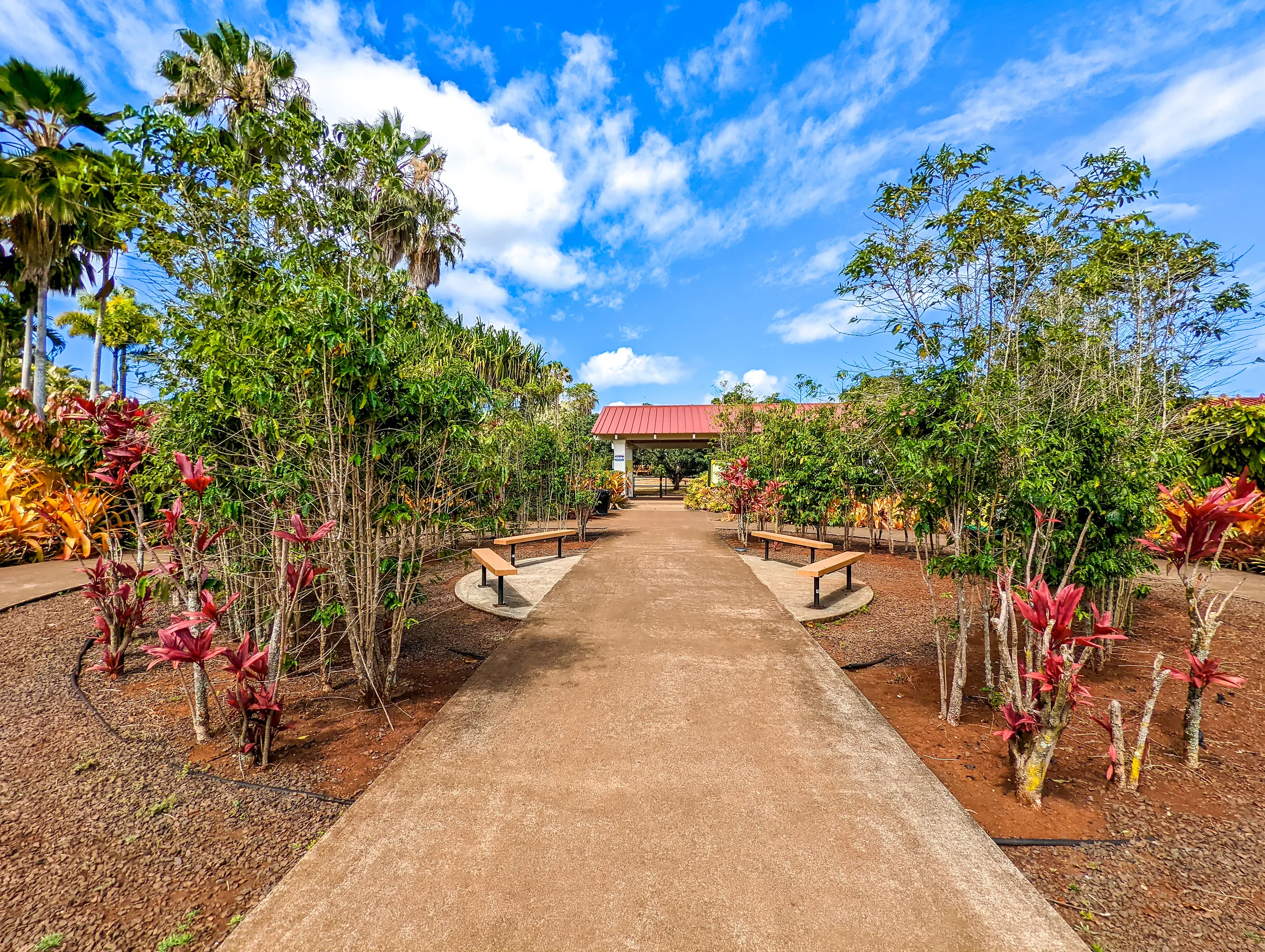 Dole Plantation