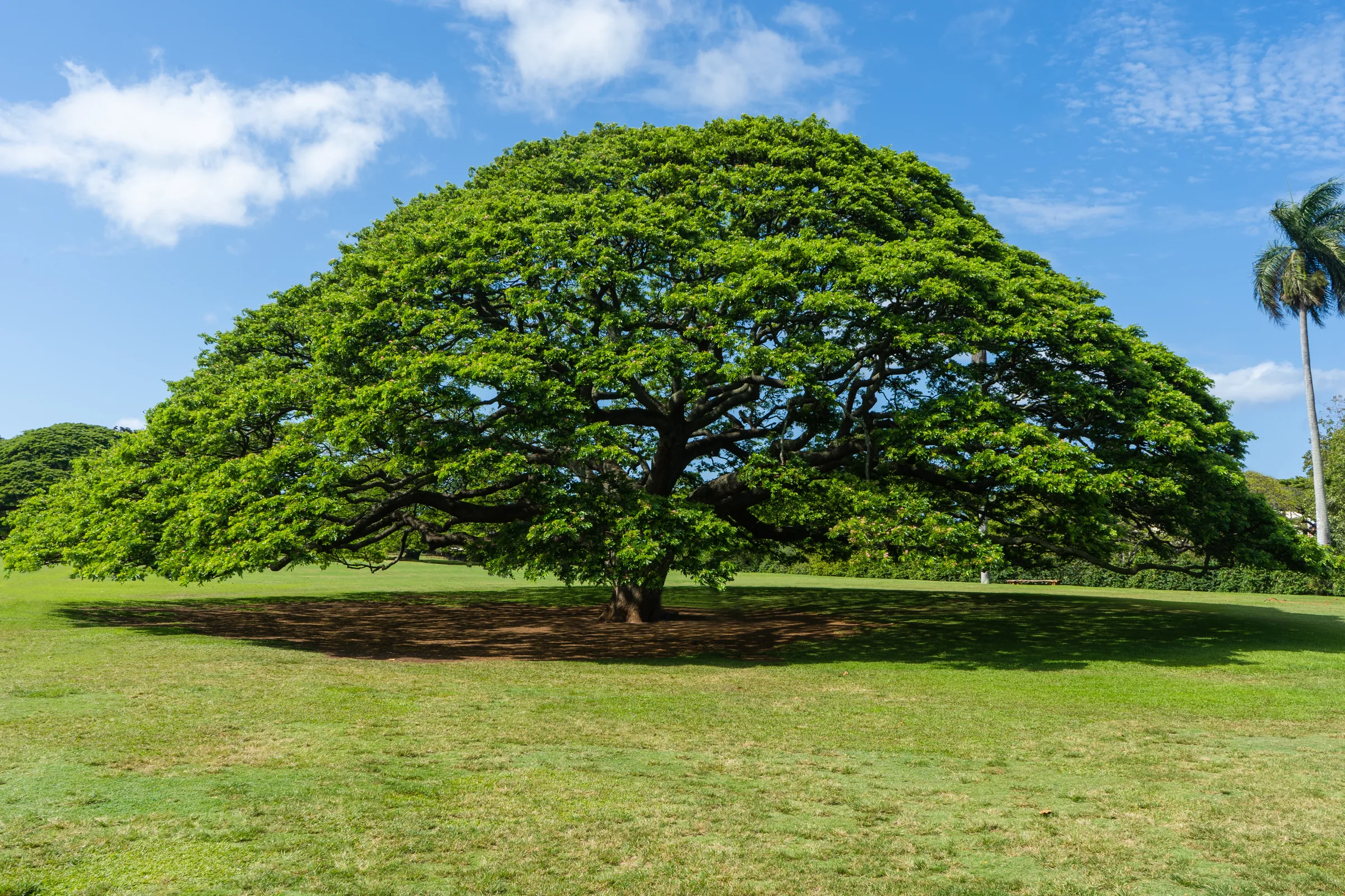 Moanalua Gardens
