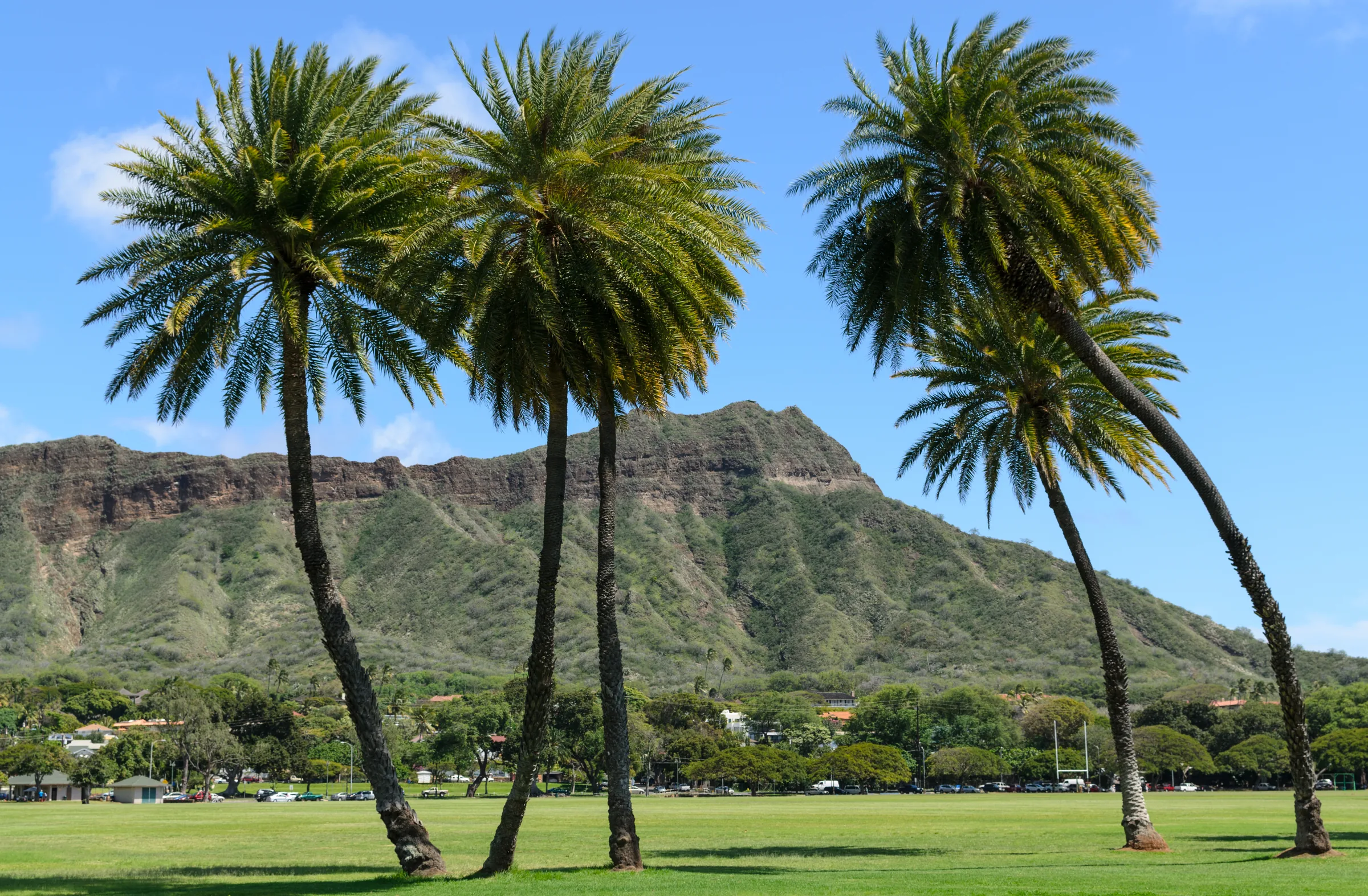 Kapiolani Park